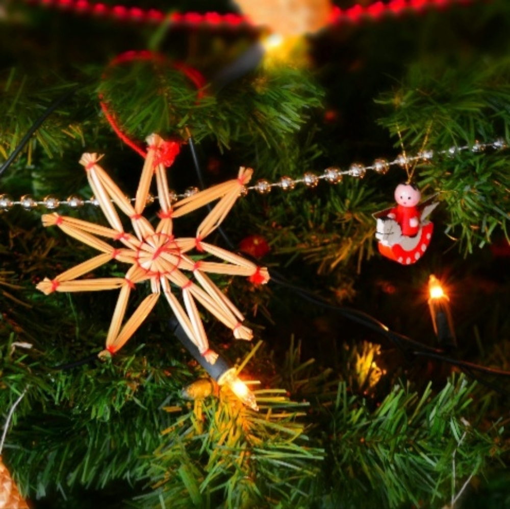A Christmas surprise for you :)